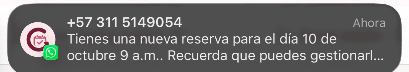 Notificación de WhatsApp avisando de una nueva reserva